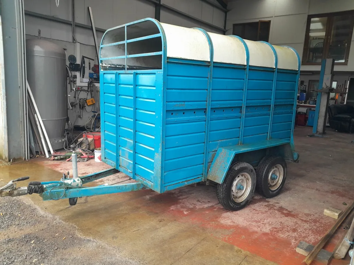 Cattle Trailer
