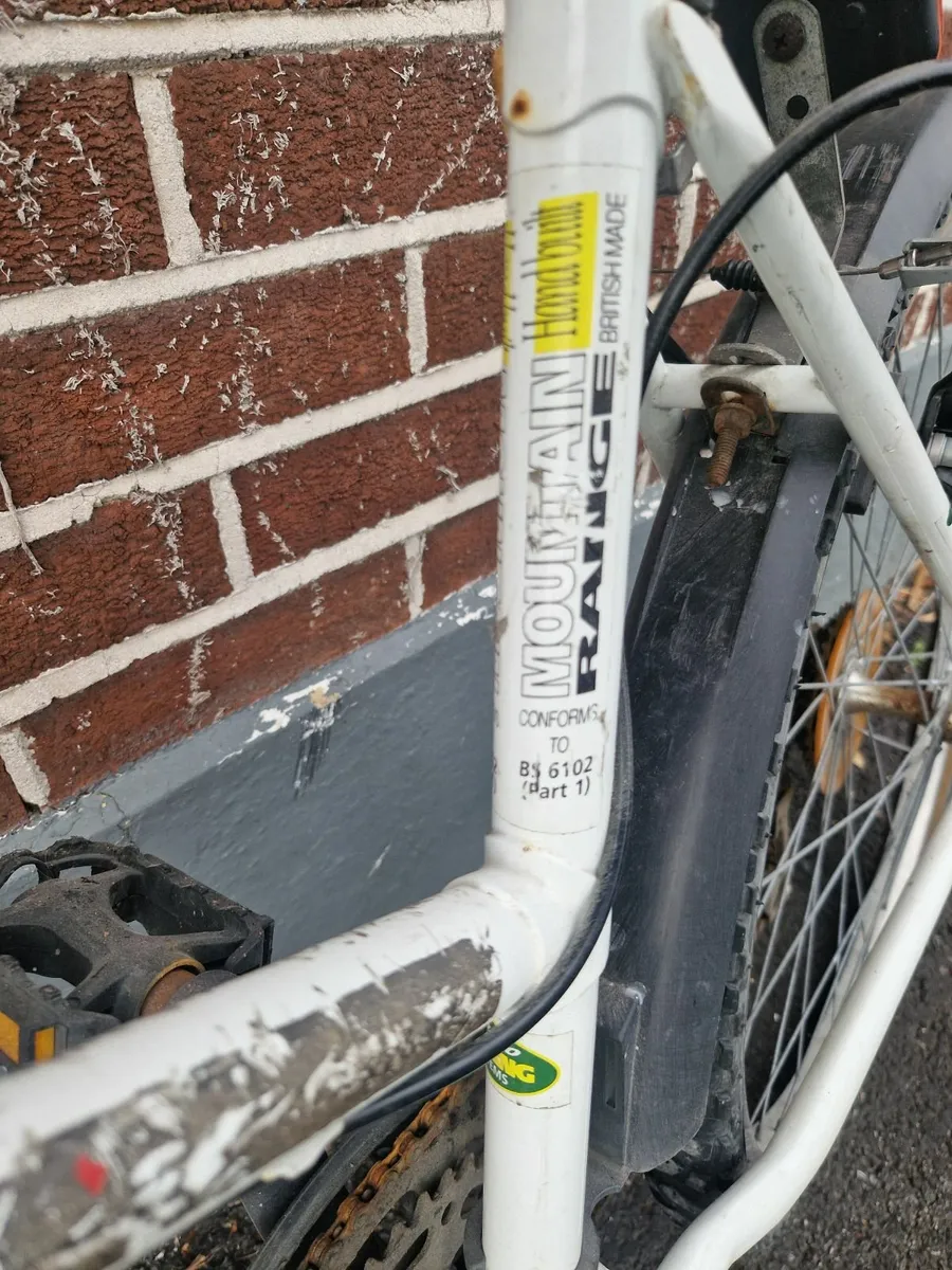 Bicycle Adult - Image 2