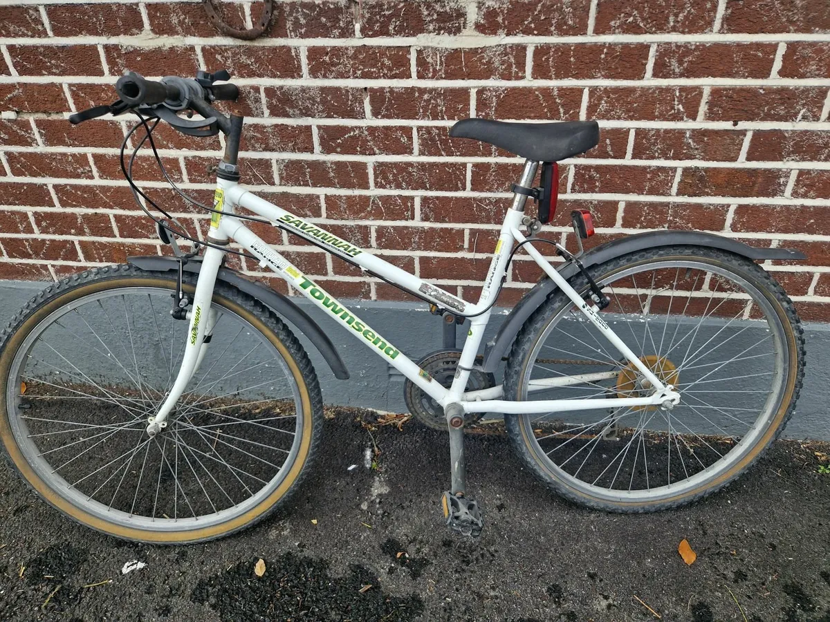 Bicycle Adult - Image 1