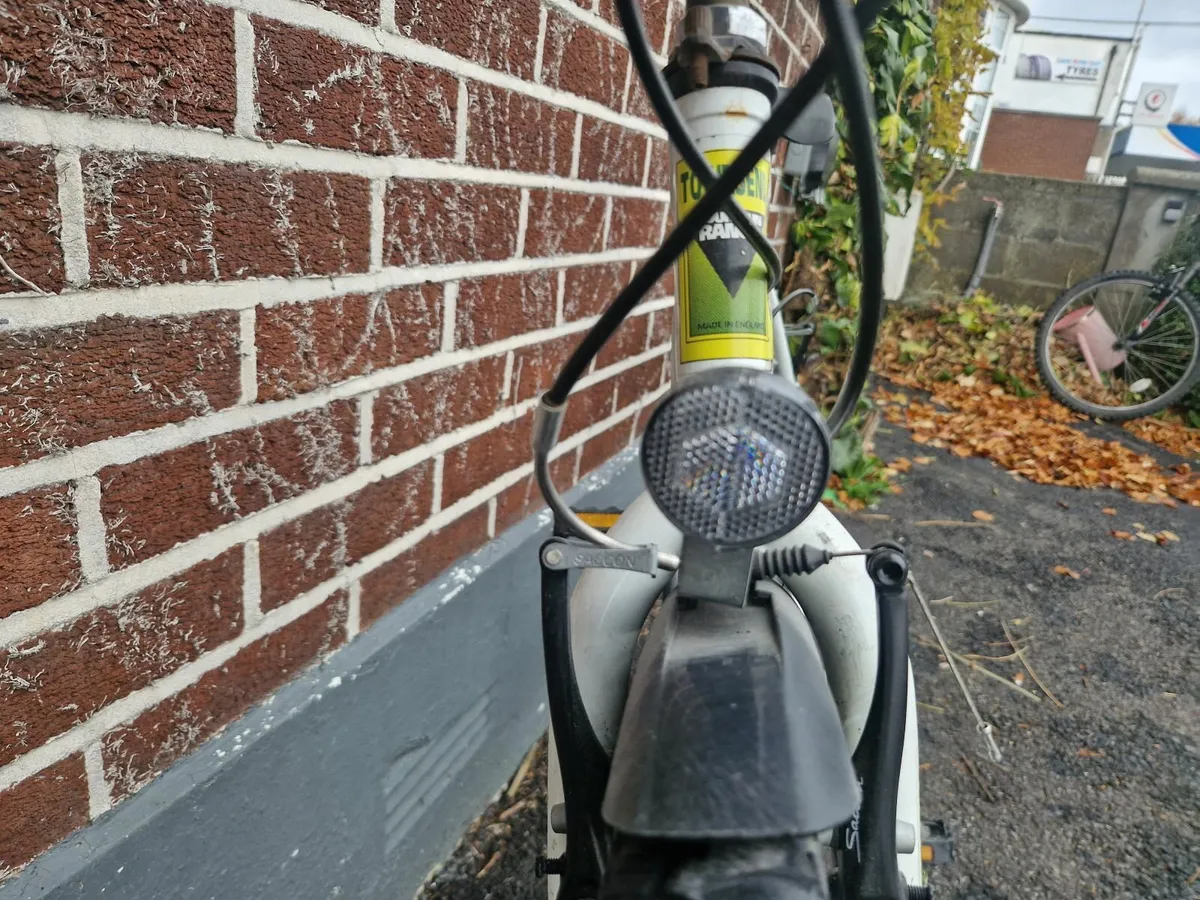 Bicycle Adult - Image 3