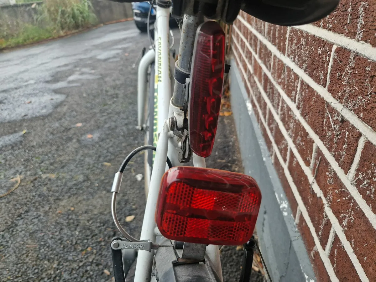 Bicycle Adult - Image 4