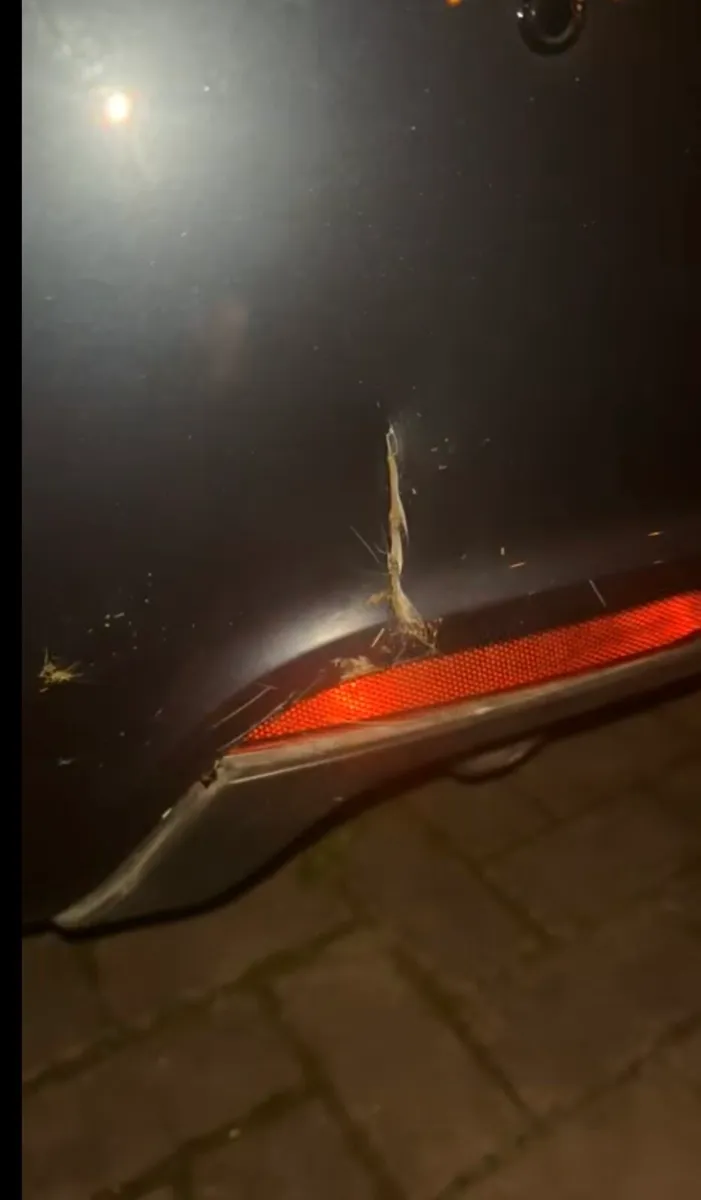 Volkswagen Golf - Image 3