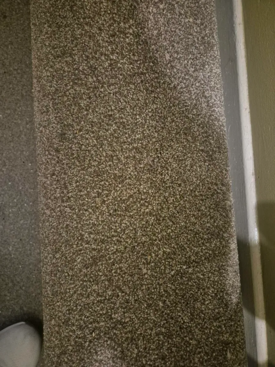Carpet 12ft x 8ft - Image 1