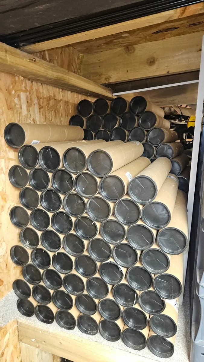 💪 GYM EQUIPMENT BULK CLEARANCE – Bars + Weights - Image 2