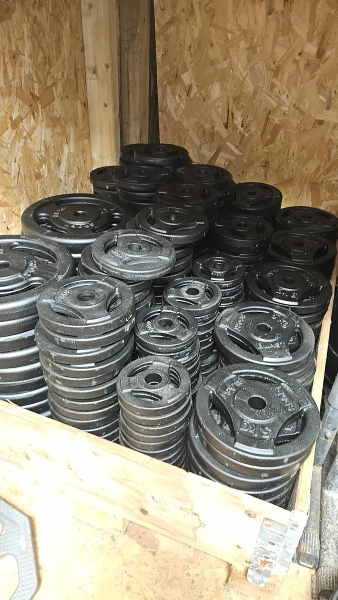 💪 GYM EQUIPMENT BULK CLEARANCE – Bars + Weights - Image 4