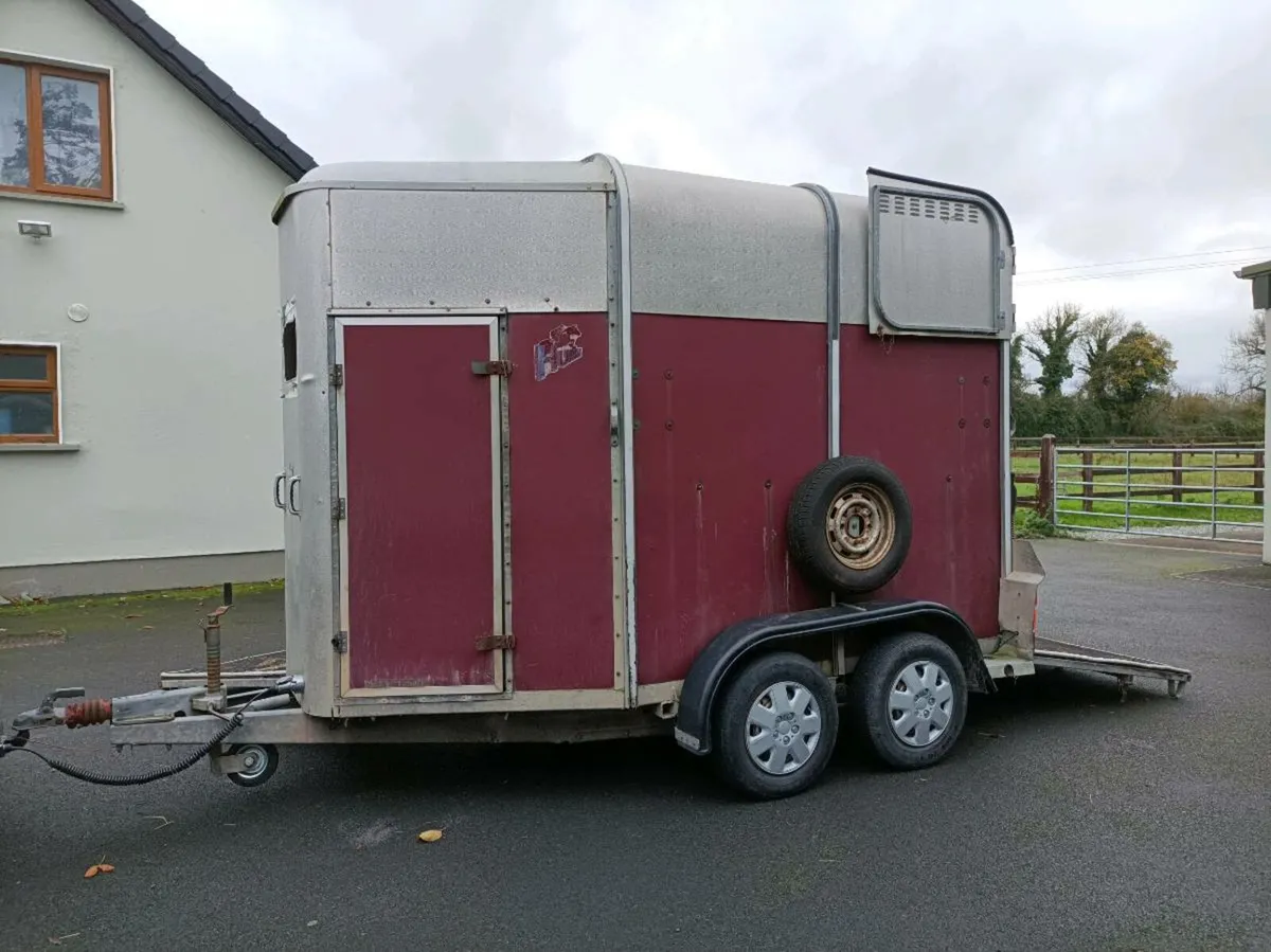 HORSE BOX, HUNTER - Image 2