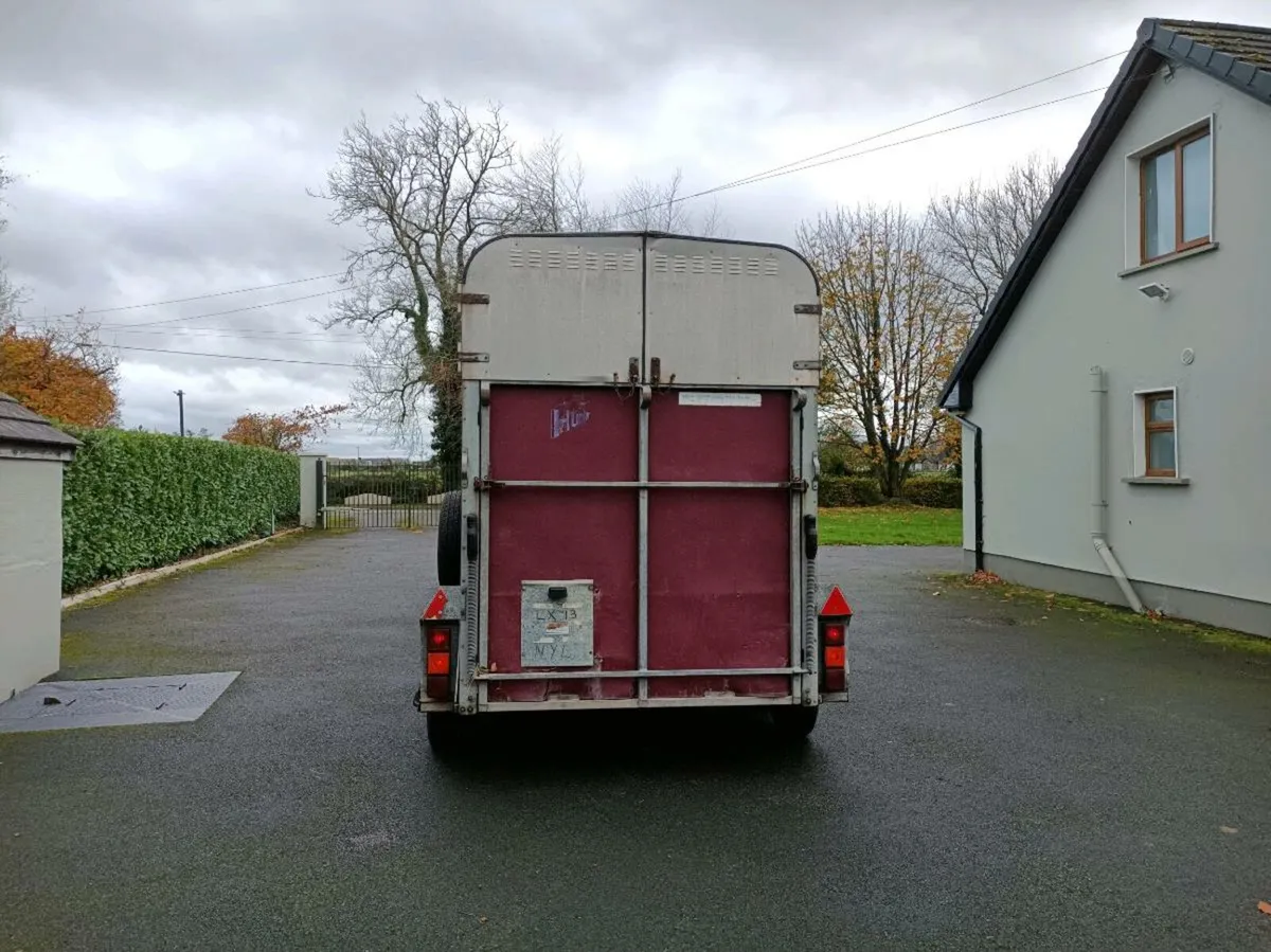HORSE BOX, HUNTER - Image 4