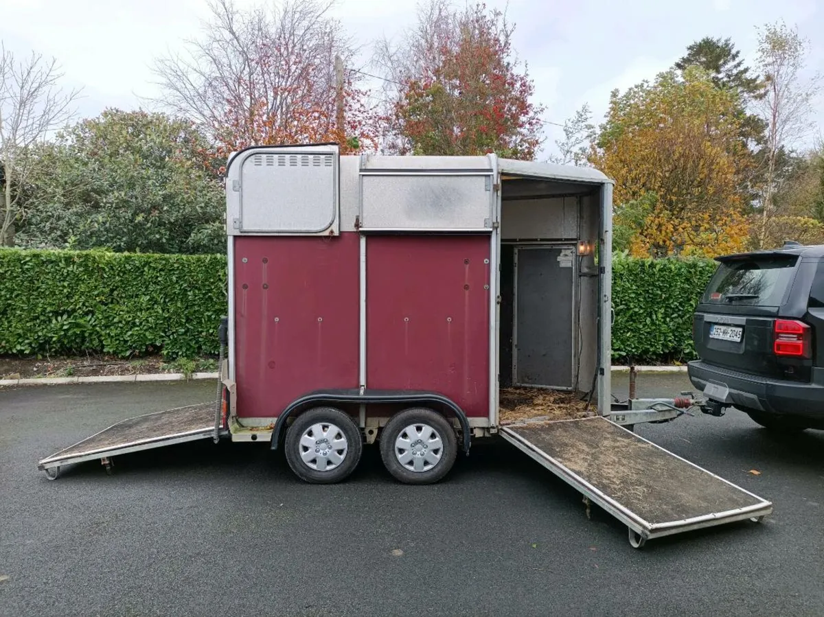 HORSE BOX, HUNTER - Image 3