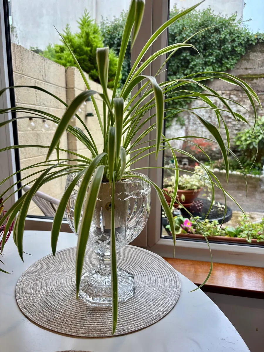 Crystal vase - Image 1