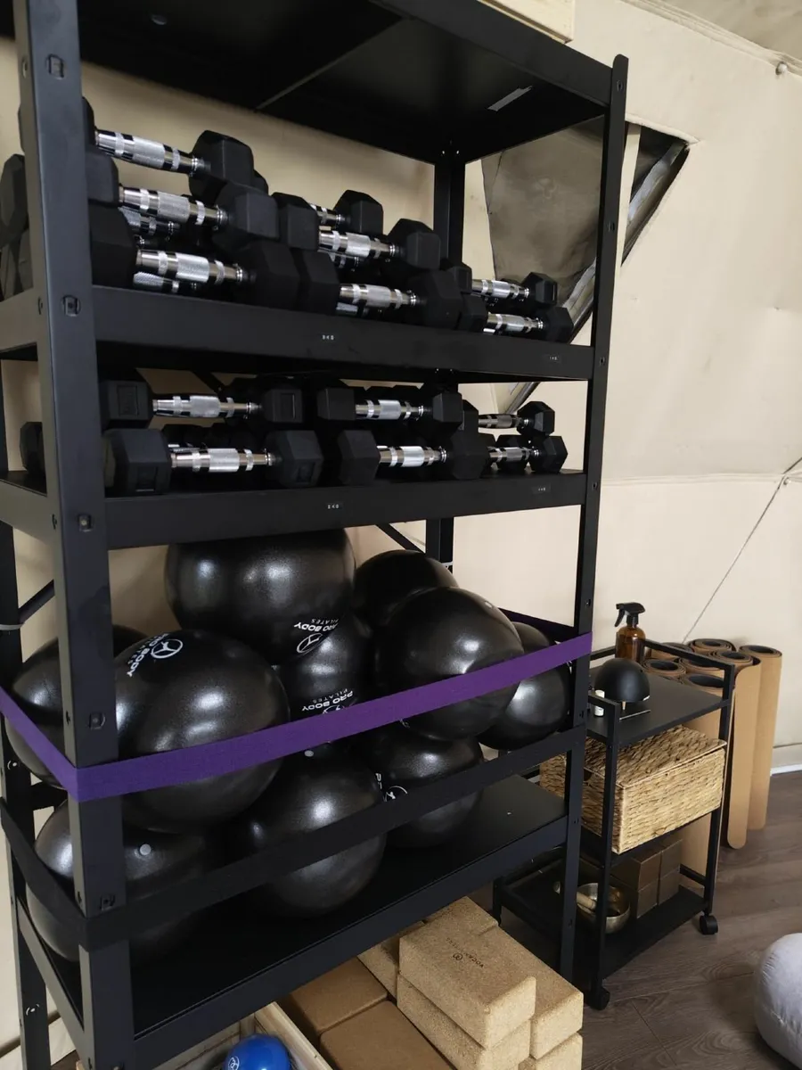 Geodesic Dome - Image 2