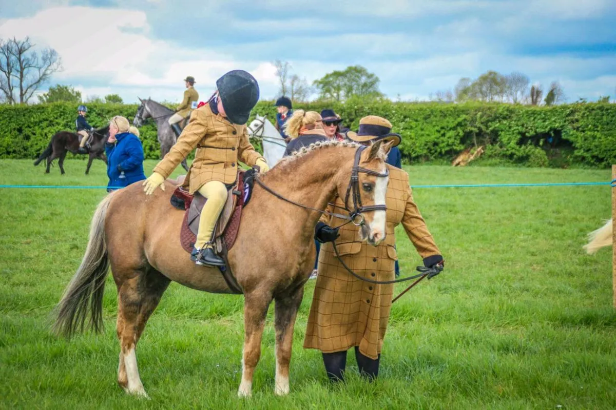 122cm Lead Rein Pony - Image 2