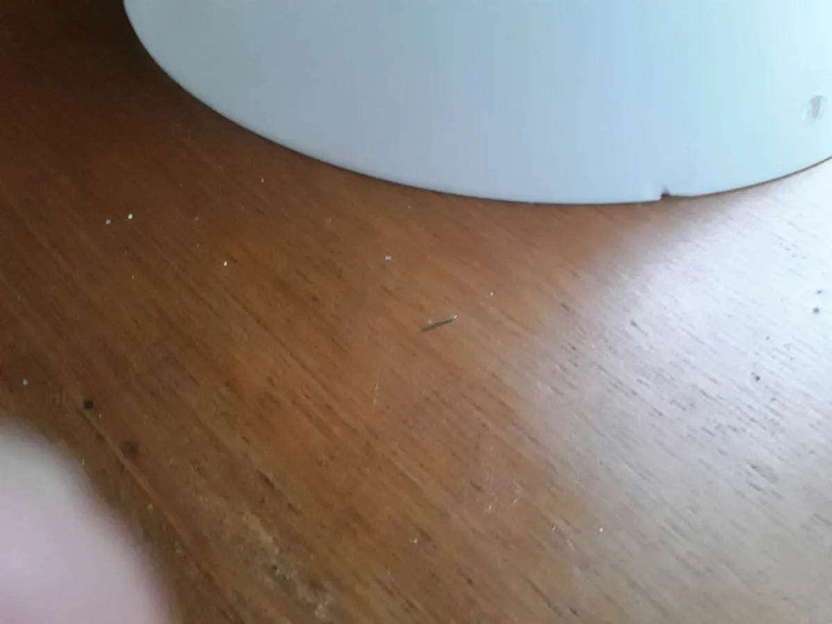 Two wall lights - Image 3