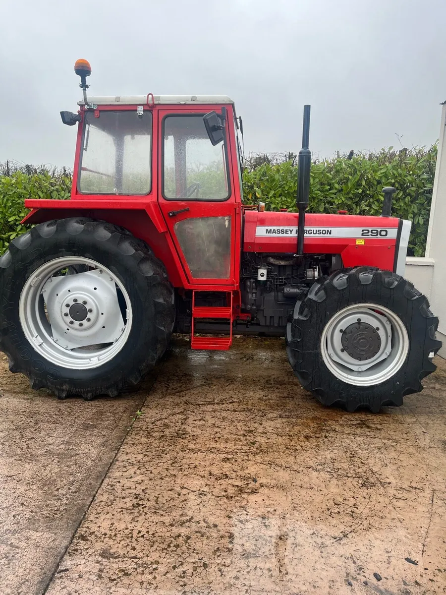 290 Massey Ferguson - Image 1