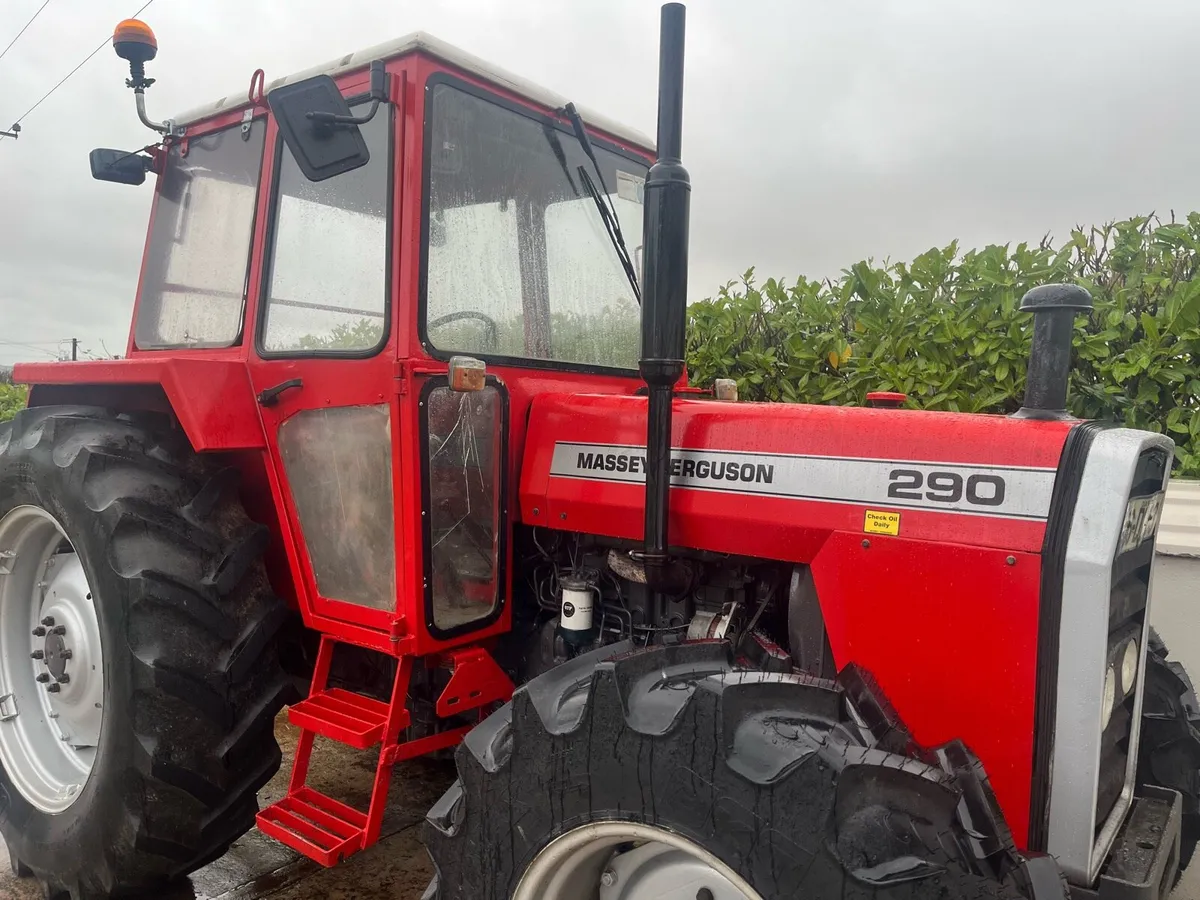 290 Massey Ferguson - Image 3