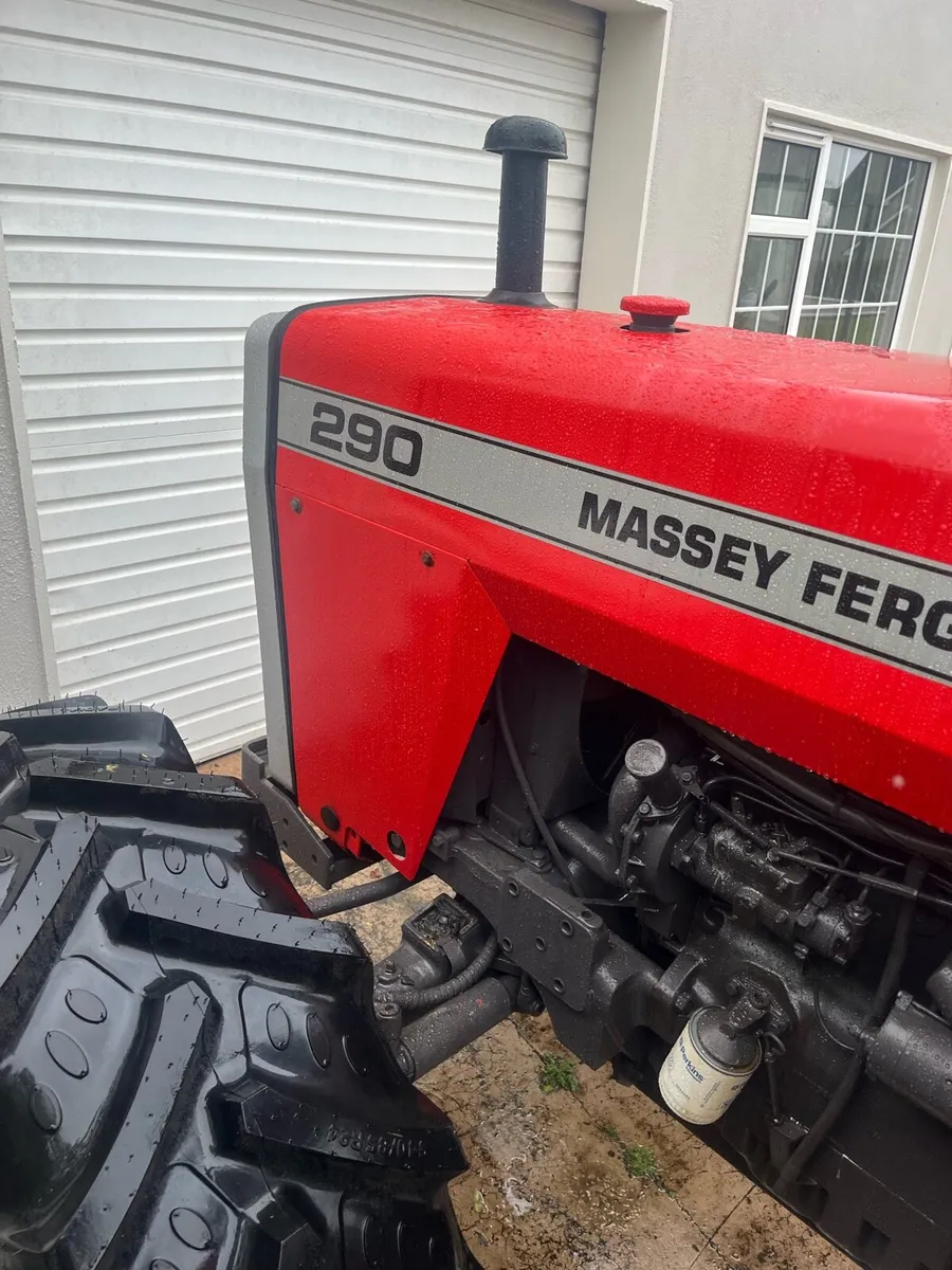 290 Massey Ferguson - Image 4