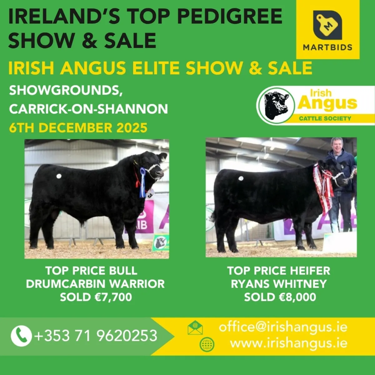 Irish Angus Elite Sale