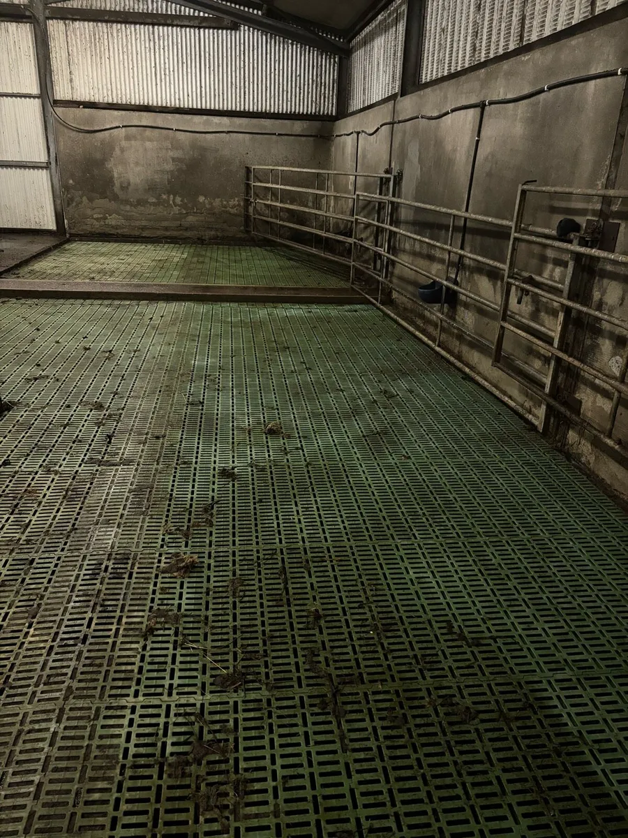 Sheep slats calf slats - Image 1