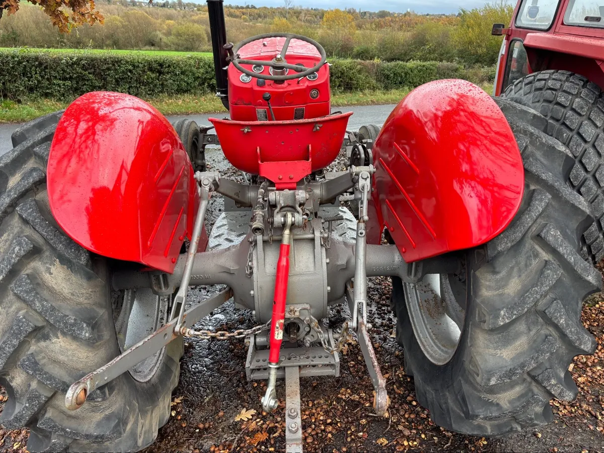 MF 240 c/w Cab and MF 135 for sale - Image 4