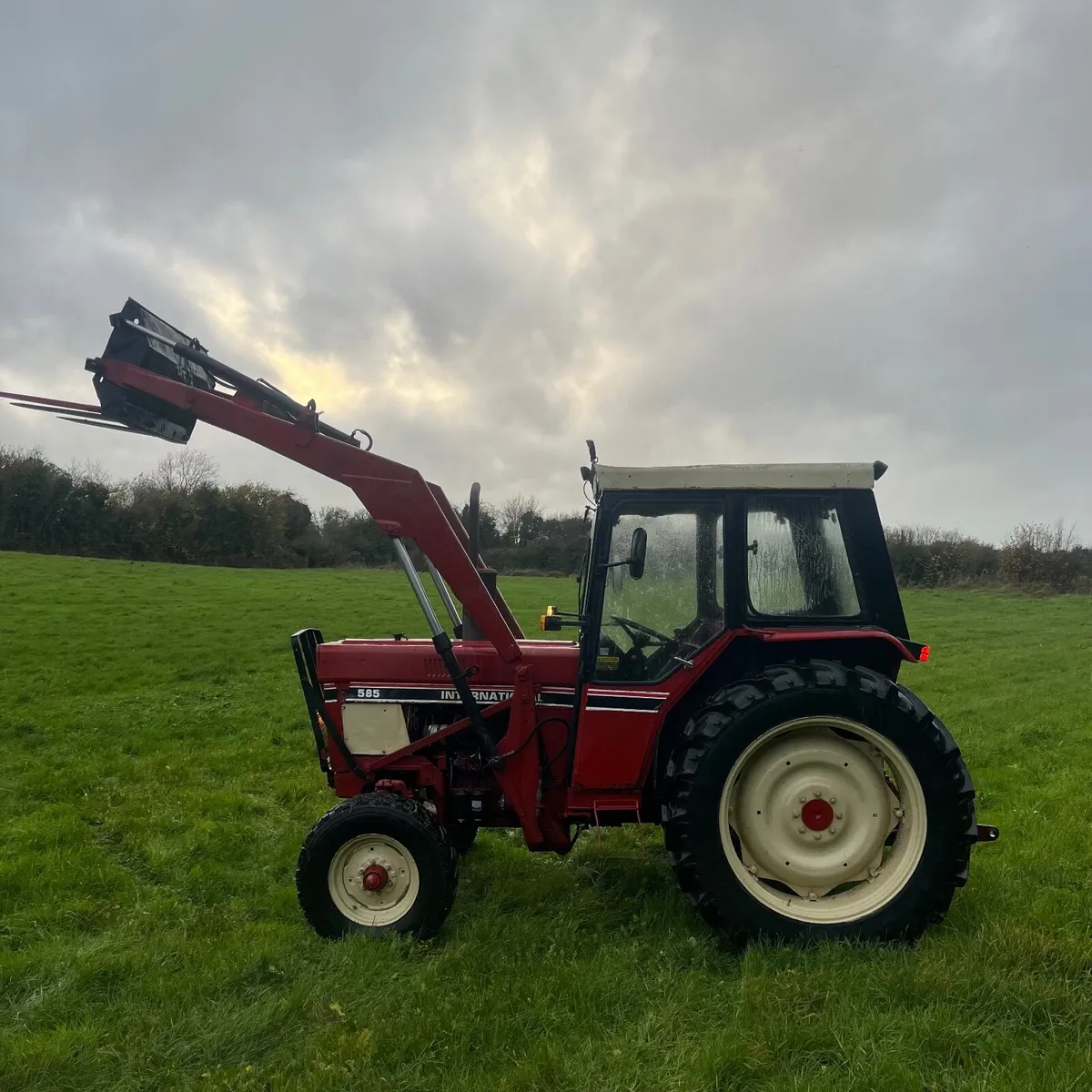 Case international - Image 2