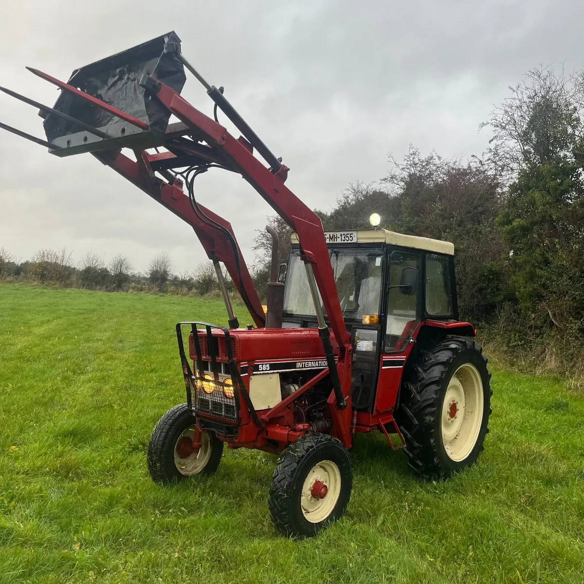 Case international - Image 1