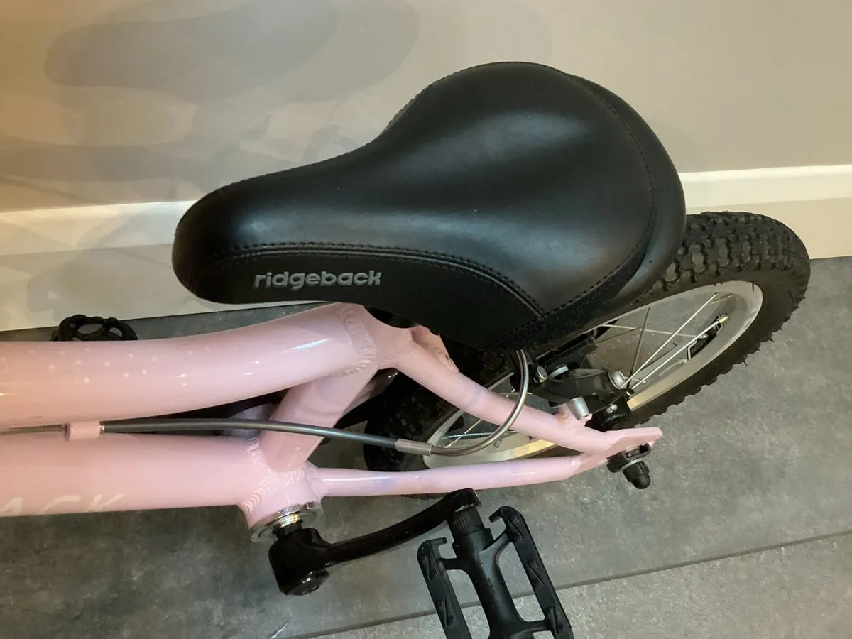 CHRISTMAS OPPORTUNITY - Image 4