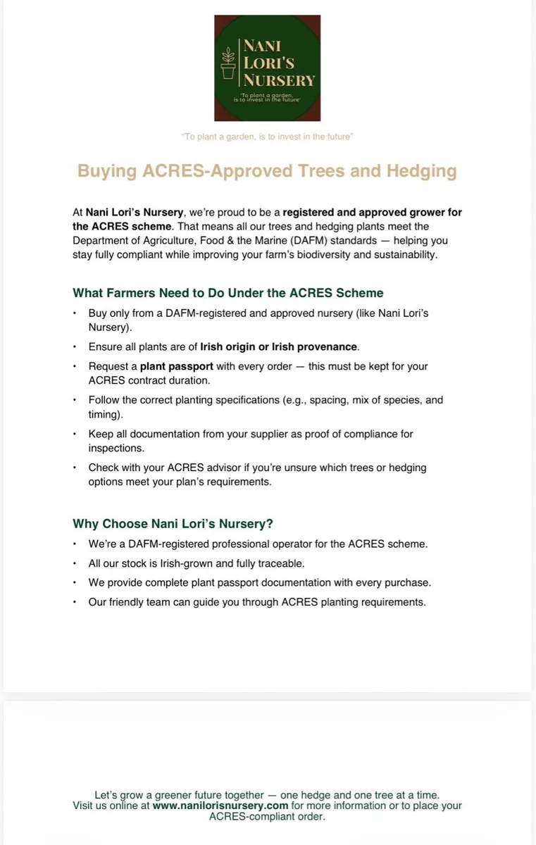 Bare Root Hedging-Beech, Oak, Birch, Hazel, Hornb - Image 4