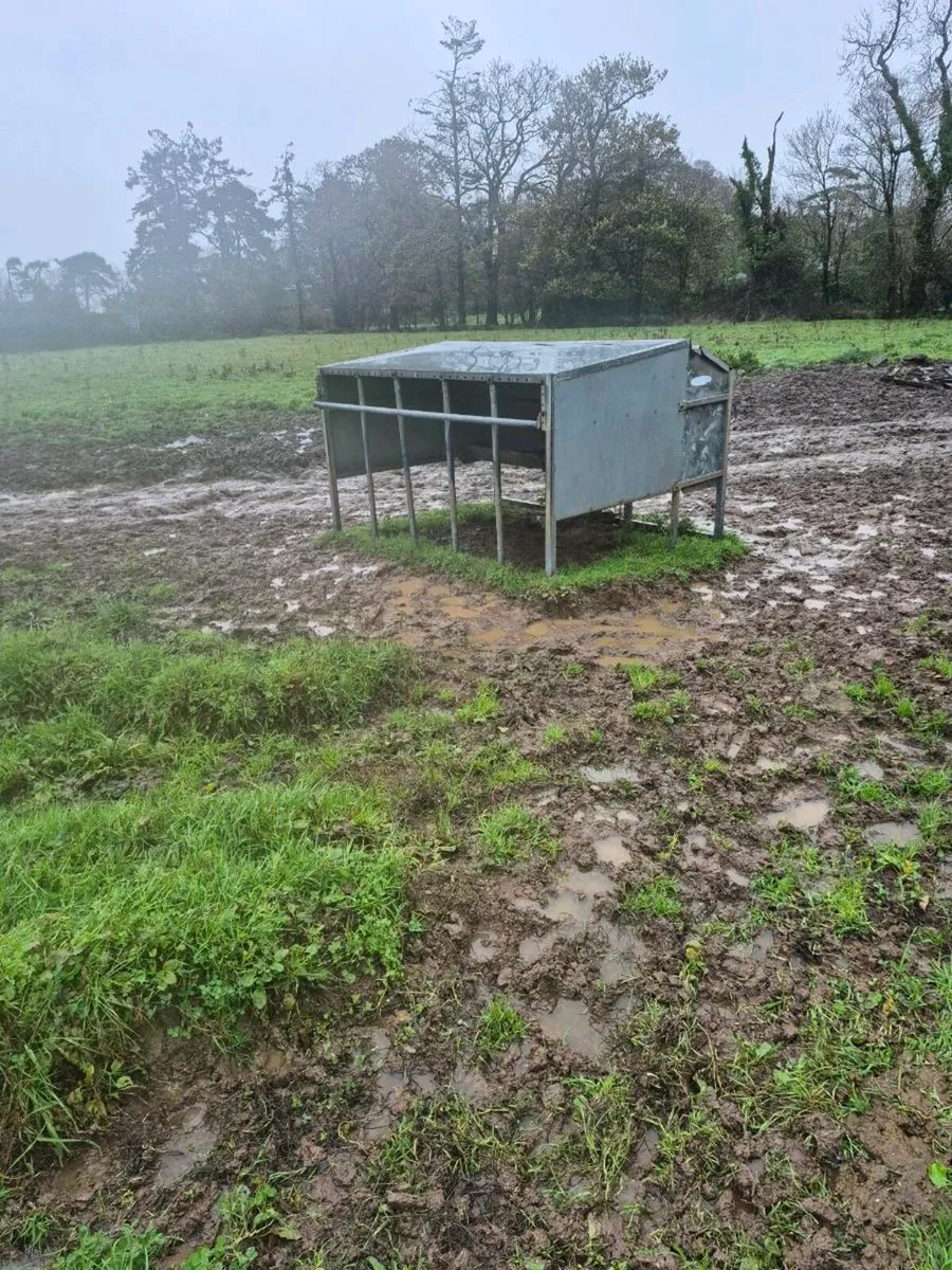Calf creep feeder - Image 2