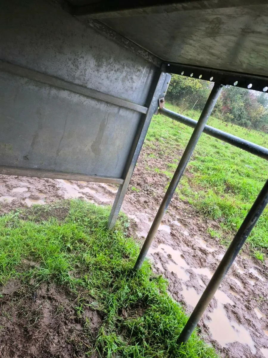 Calf creep feeder - Image 3