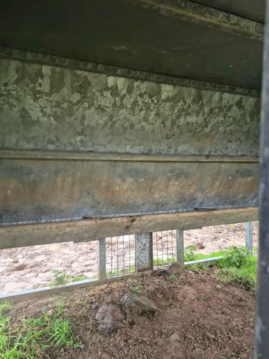 Calf creep feeder - Image 4