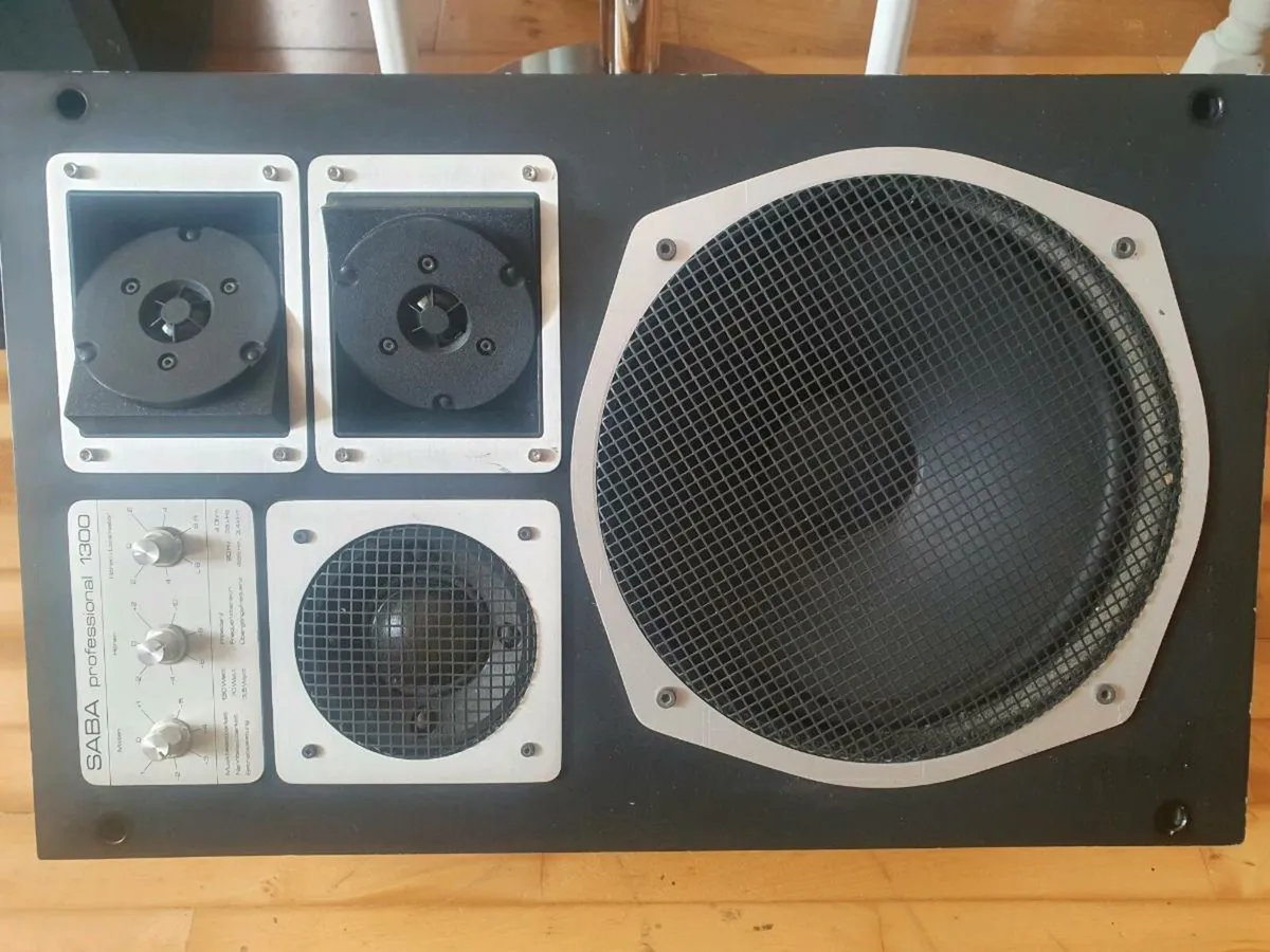 Large Loudspeaker rare vintage - Image 1