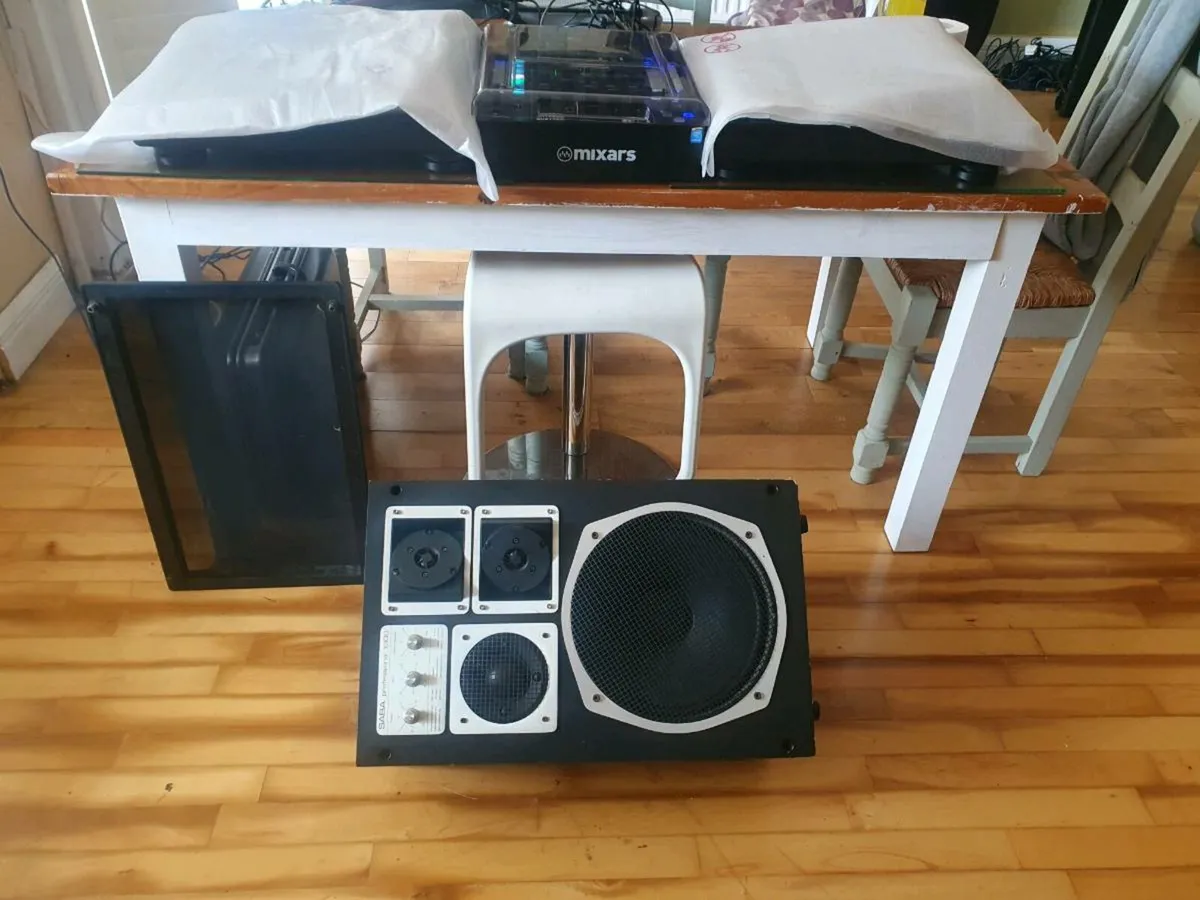 Large Loudspeaker rare vintage - Image 2