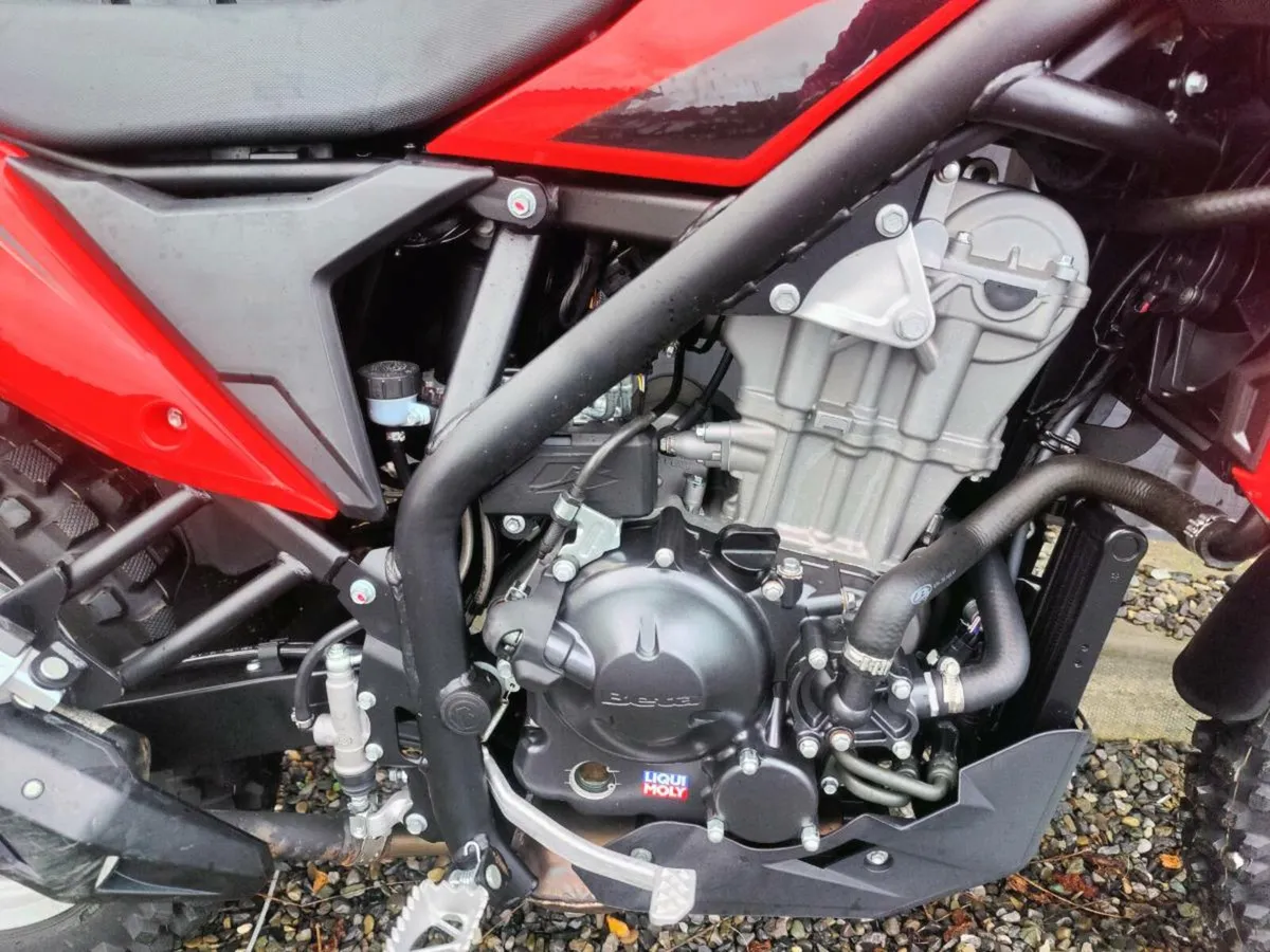 Beta Alp 4.0 350cc - Image 2