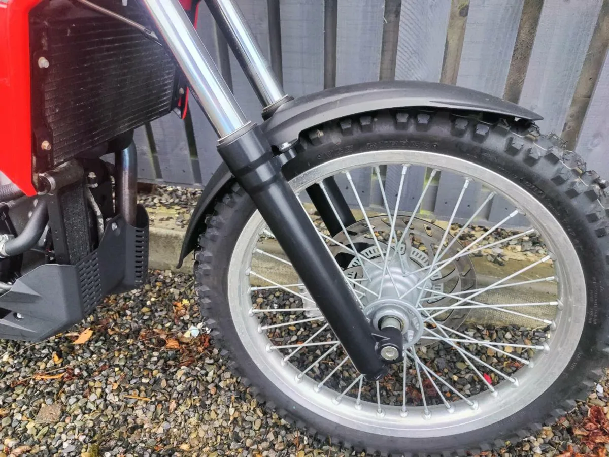 Beta Alp 4.0 350cc - Image 3