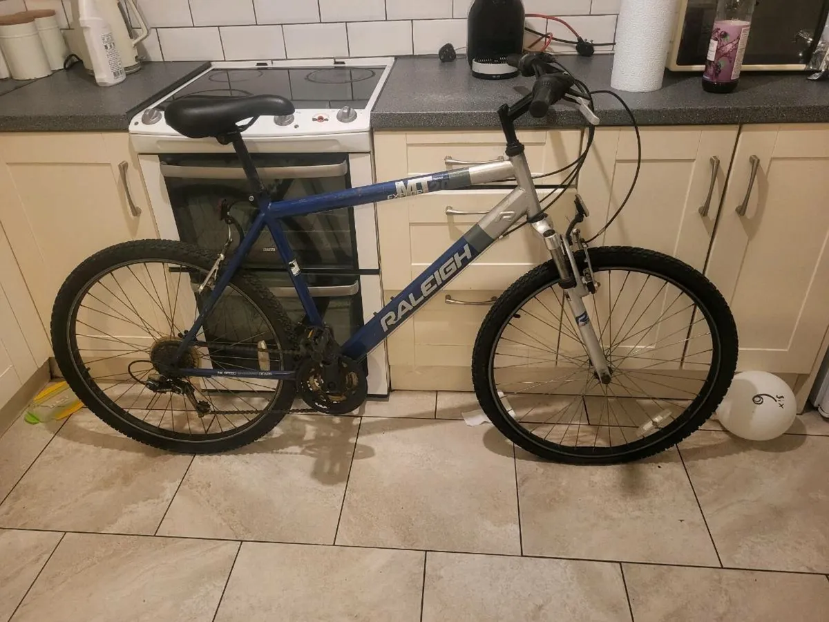 Mountain bike - Image 1