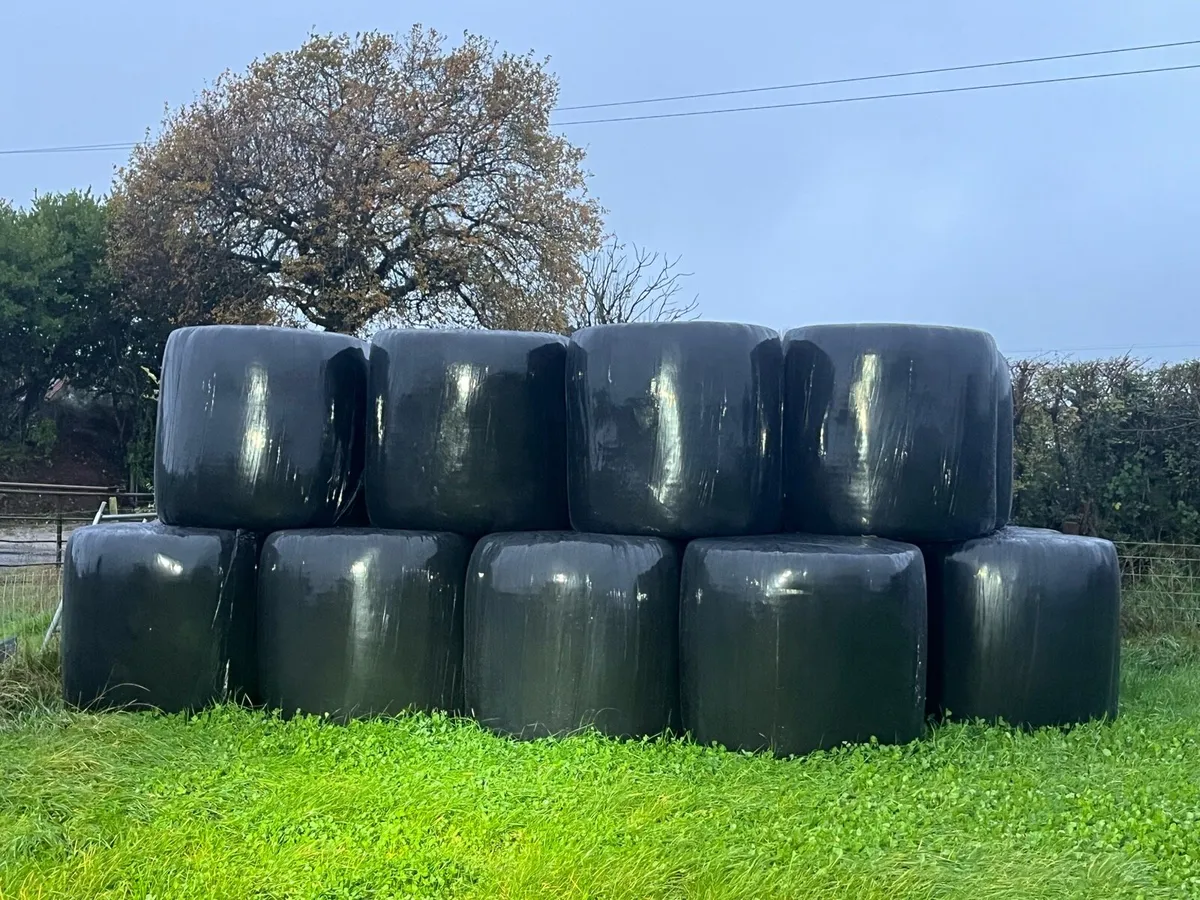 Haylage - Image 1