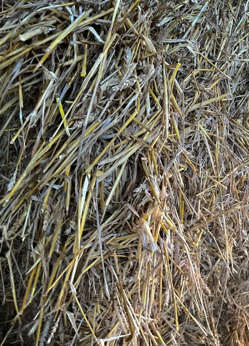 Wheat Straw 8x4x3 - Image 2