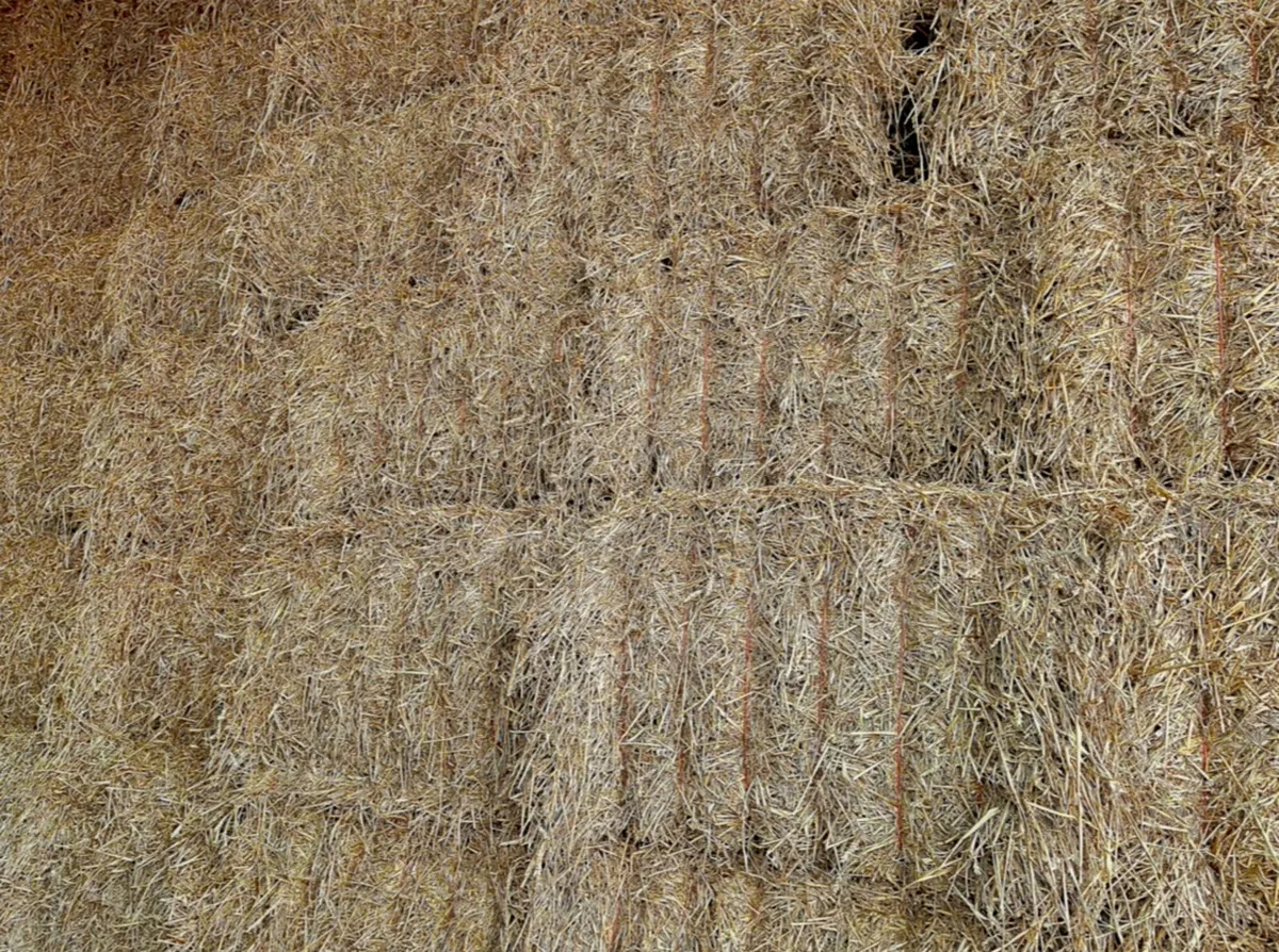 Wheat Straw 8x4x3 - Image 3