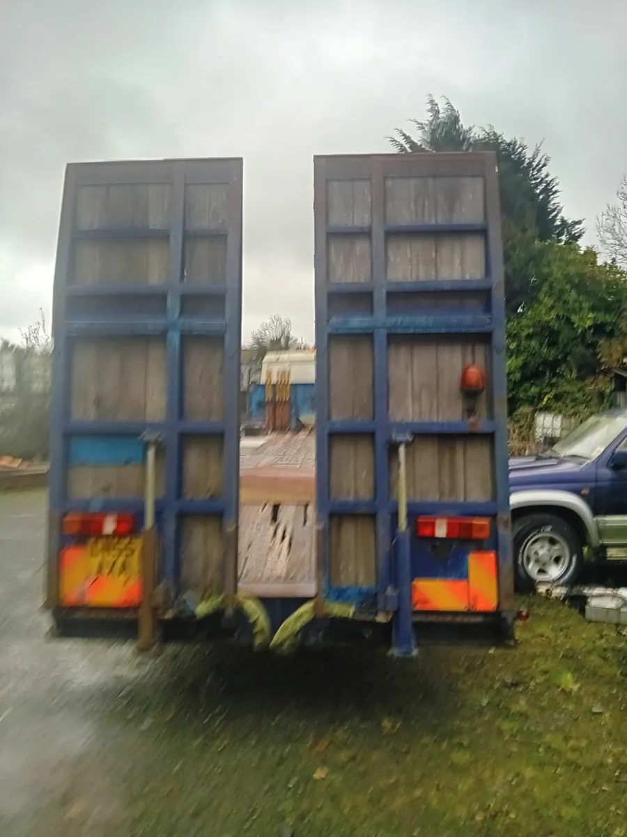 Man beaver tail 2005 - Image 3