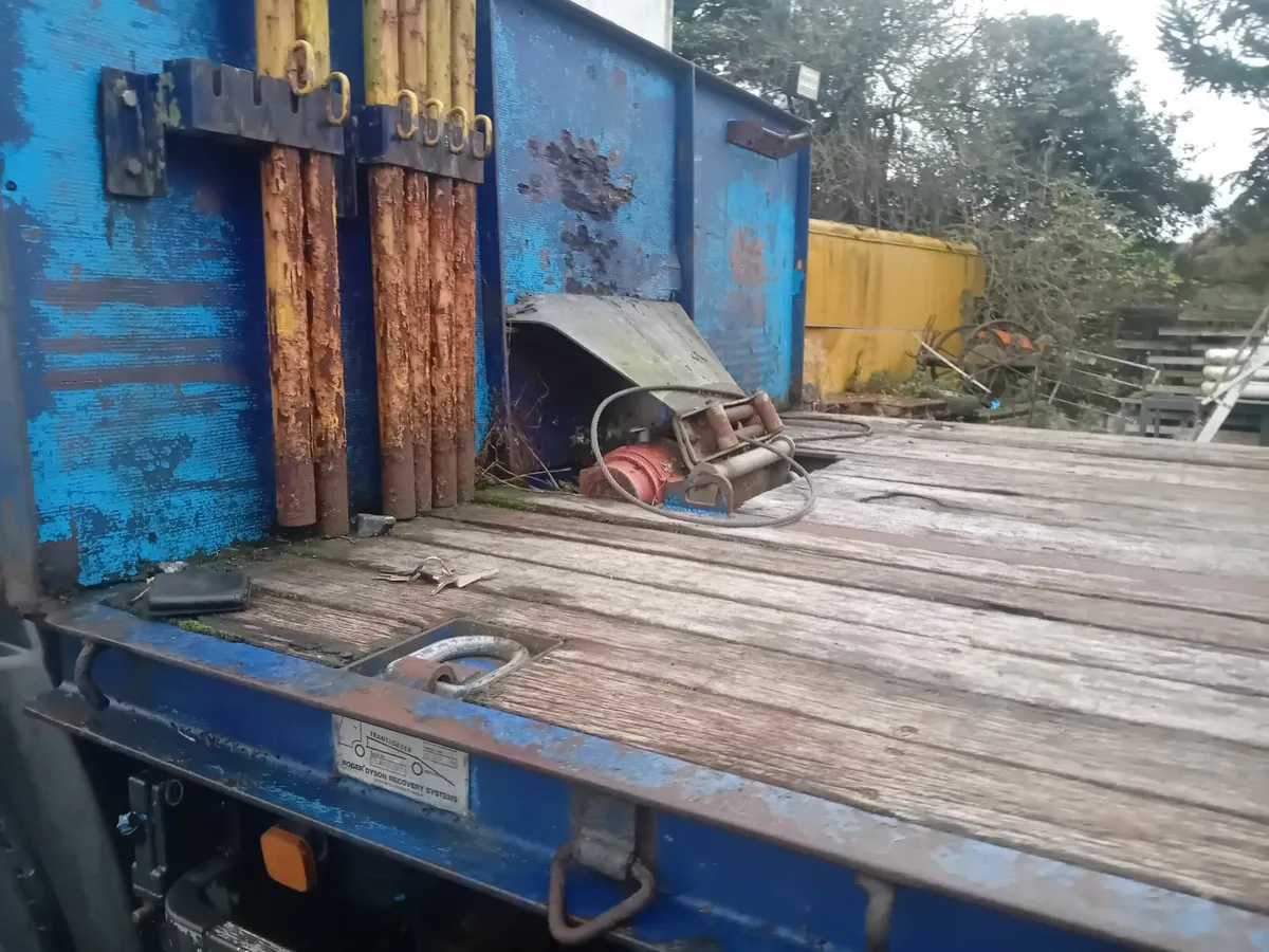 Man beaver tail 2005 - Image 4