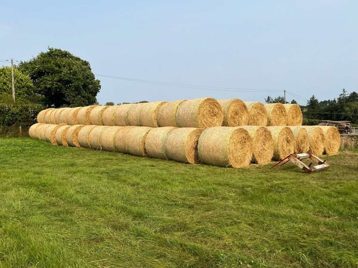 Straw for sale - Image 2