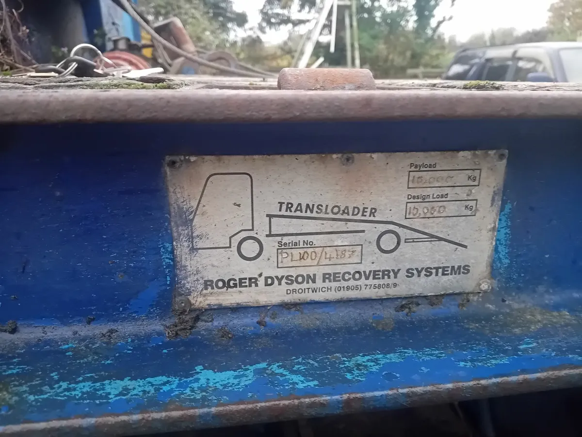 Man beaver tail 2005 - Image 2