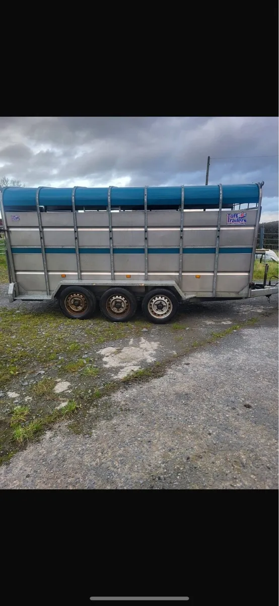 Cattle trailer - Image 2