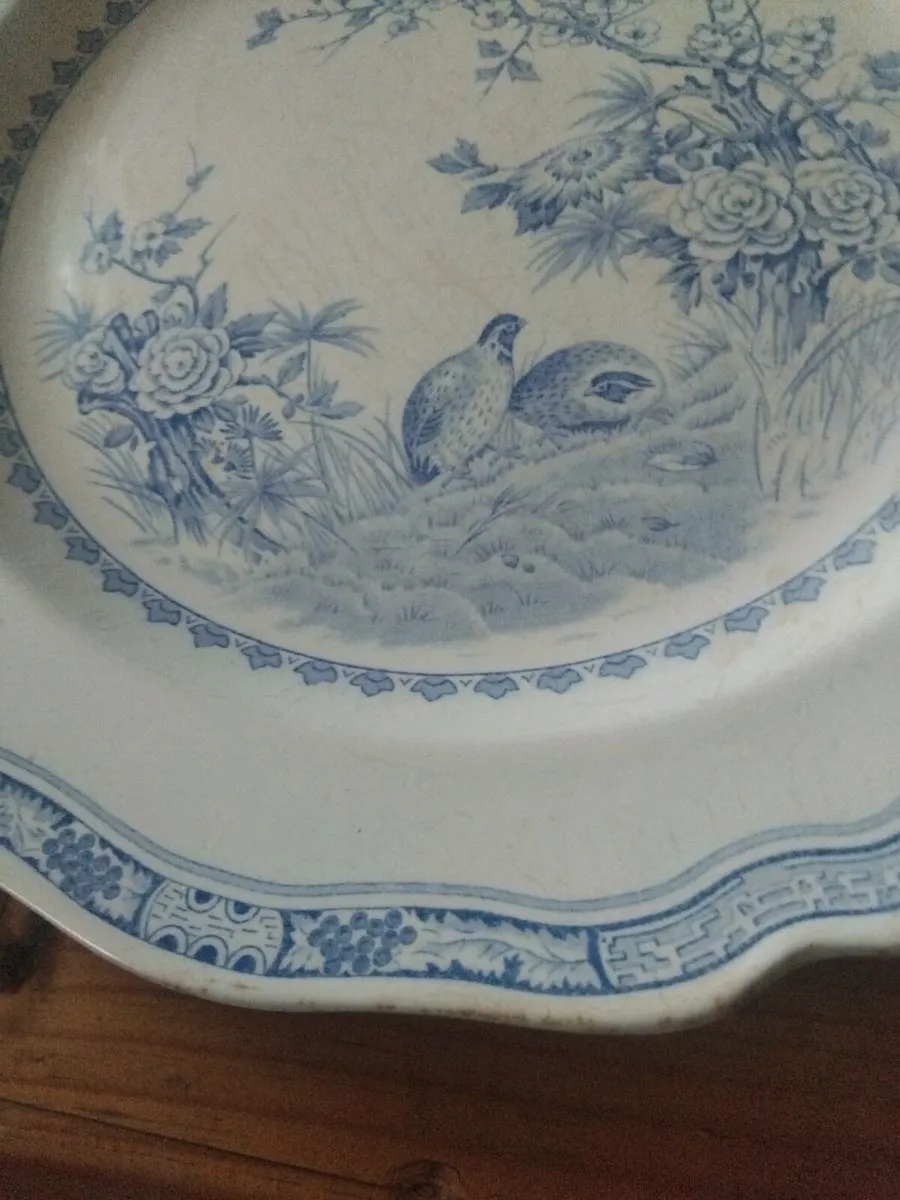 Furnivals large serving quail plate - Image 2