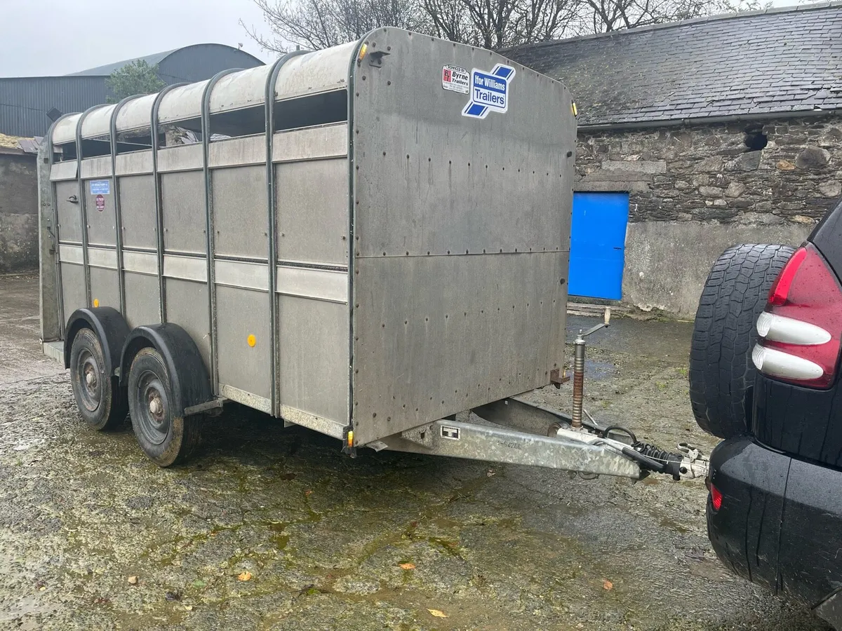 12 foot Ifor Williams cattle trailer - Image 1