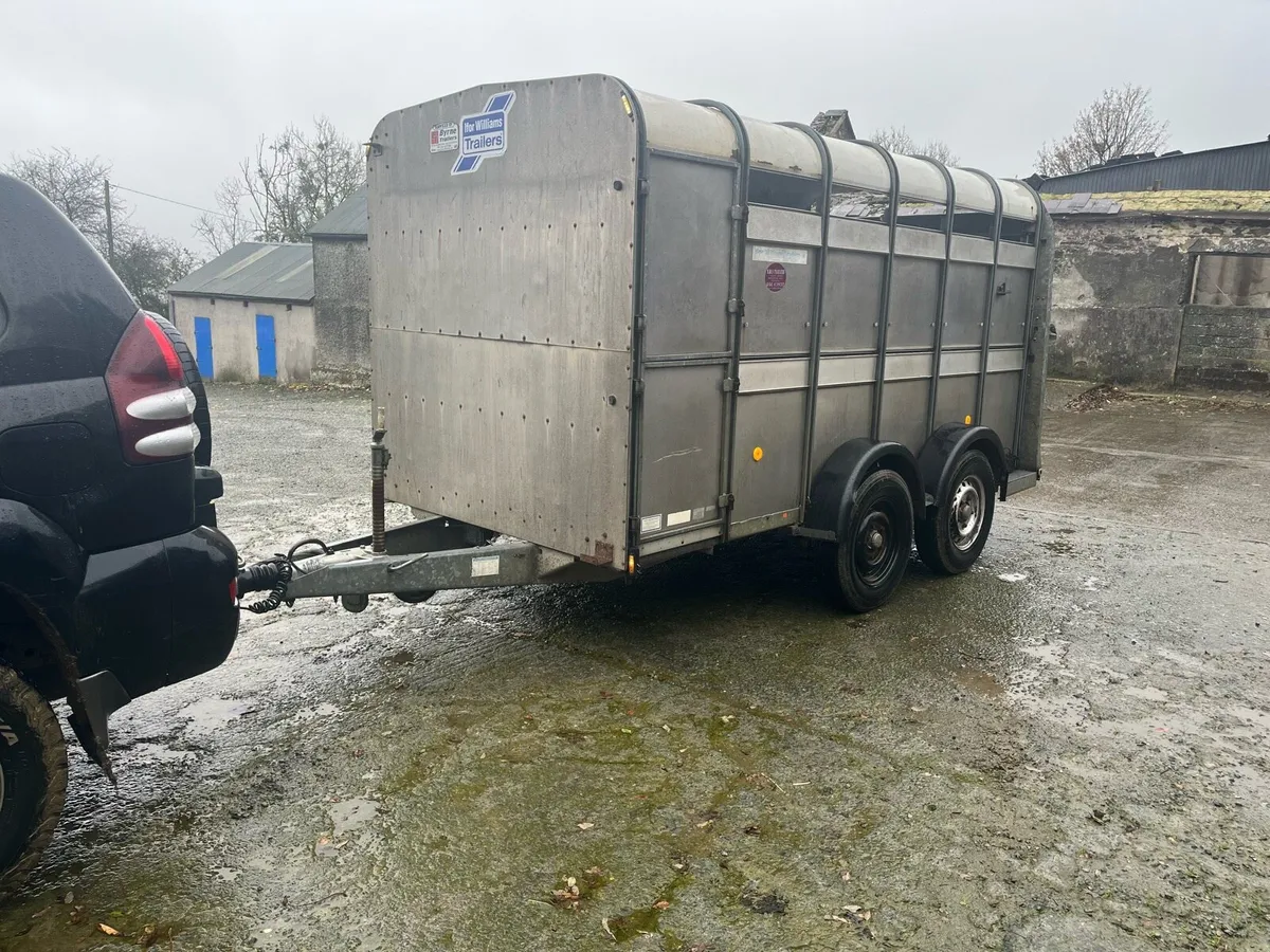 12 foot Ifor Williams cattle trailer - Image 2