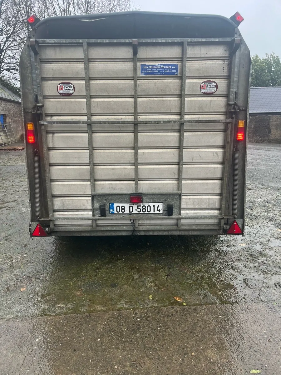 12 foot Ifor Williams cattle trailer - Image 3