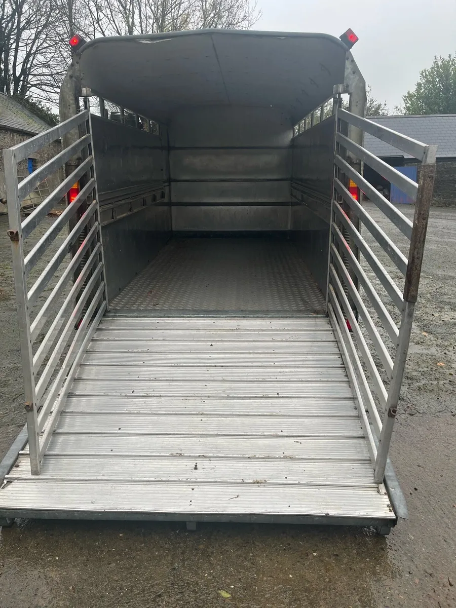 12 foot Ifor Williams cattle trailer - Image 4