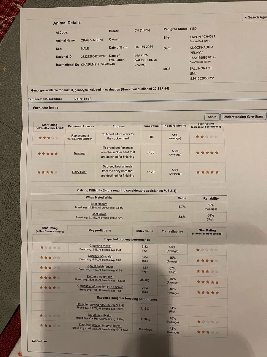 Charolais bull five star 🌟 - Image 2