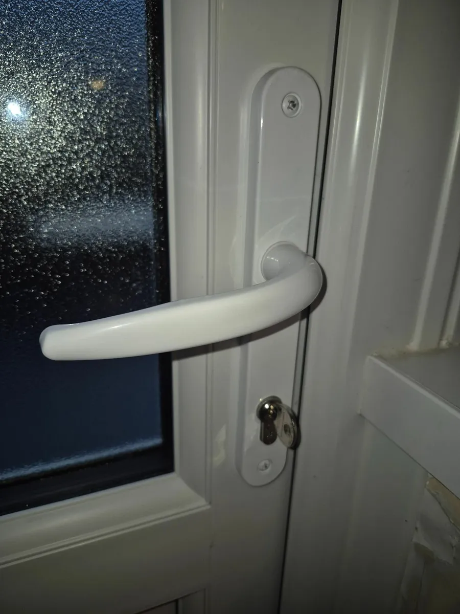 White PVC door - Image 4