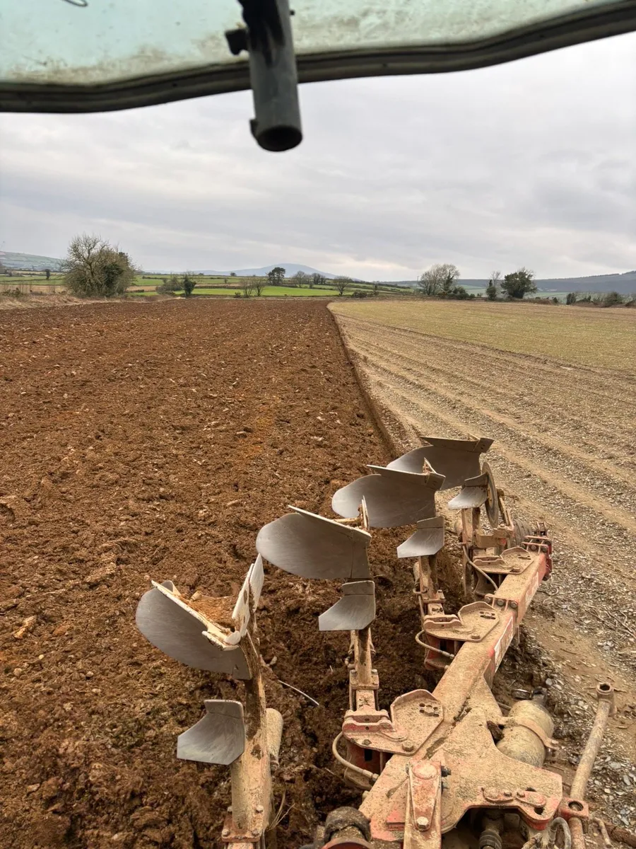 Gregoire benson plough - Image 3